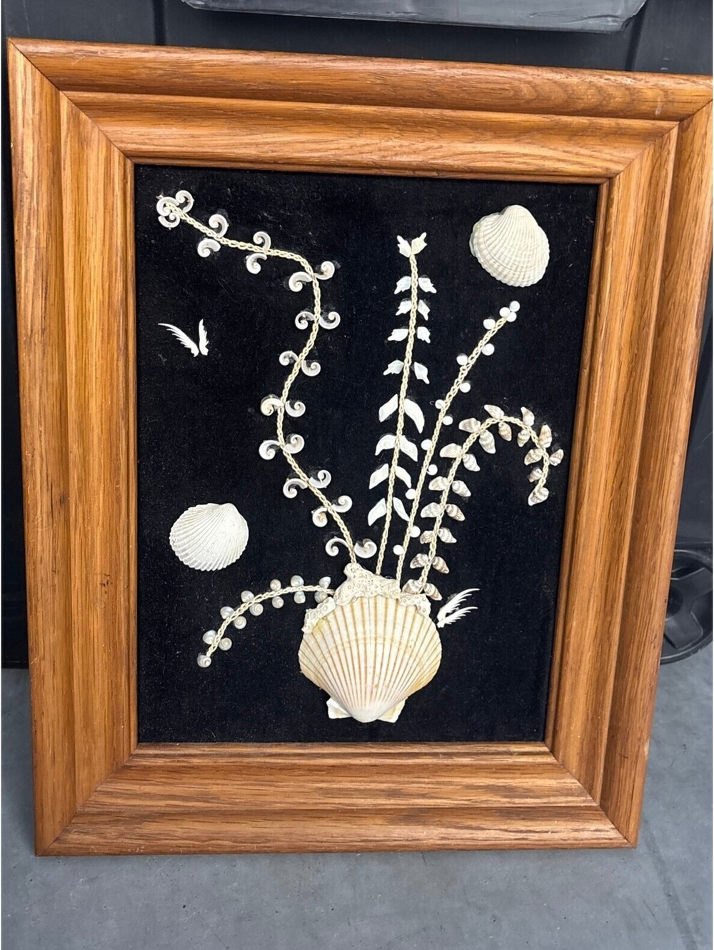 Handmade Sea Shell Framed Art
